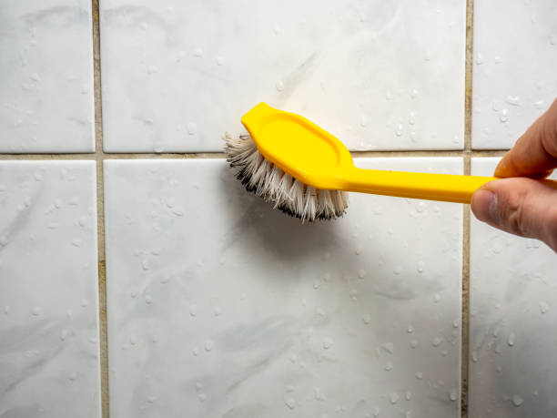 Best Best Mold Removal Companies  in Savannah, TN