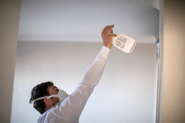 Best Fast Mold Removal  in Savannah, TN