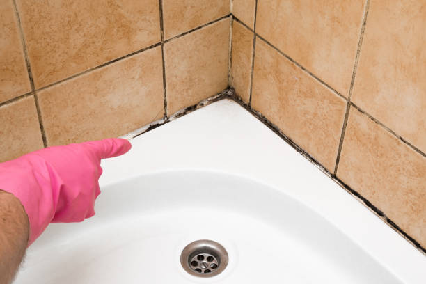 Best Residential Mold Removal  in Savannah, TN
